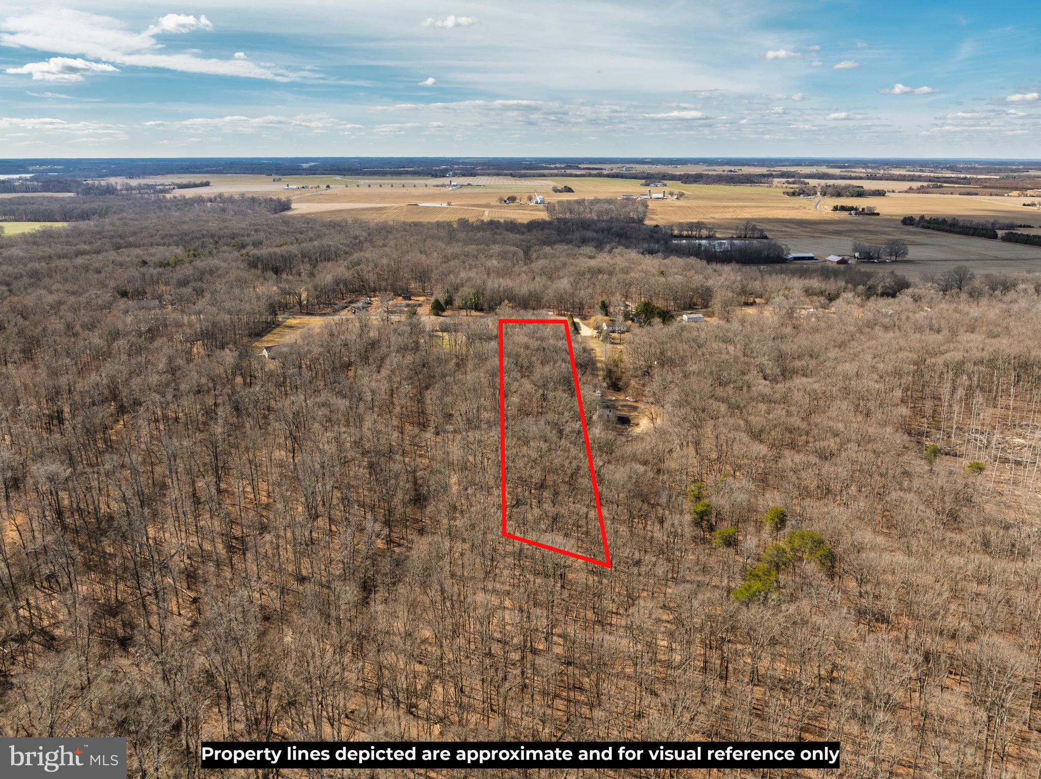 10669 Chesterville Forest Road Millington, MD 21651 - Photo 19 of 26 a view of beach and ocean