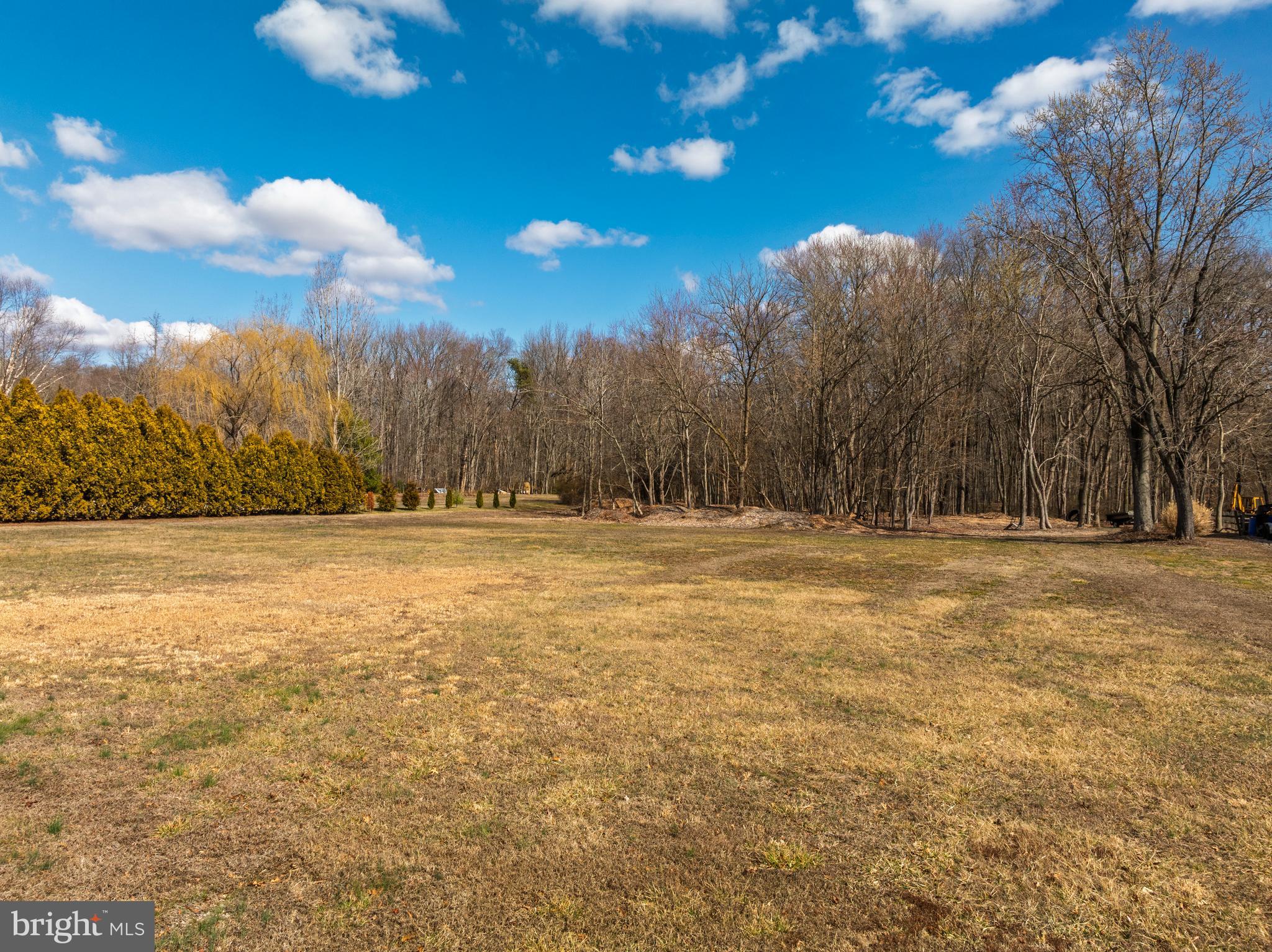 10669 Chesterville Forest Road Millington, MD 21651 - Photo 2 of 26 a view of road view with large trees