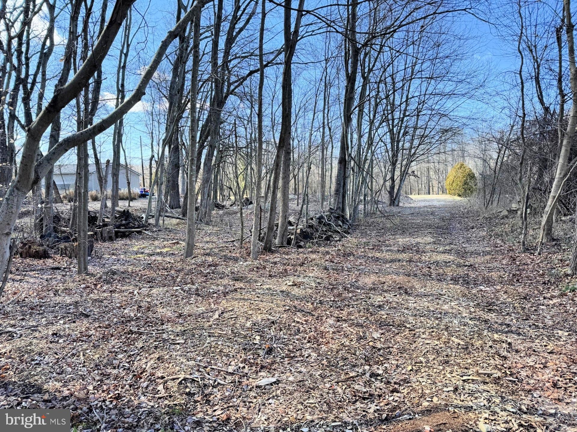 10669 Chesterville Forest Road Millington, MD 21651 - Photo 25 of 26 a backyard of a house with lots of green space