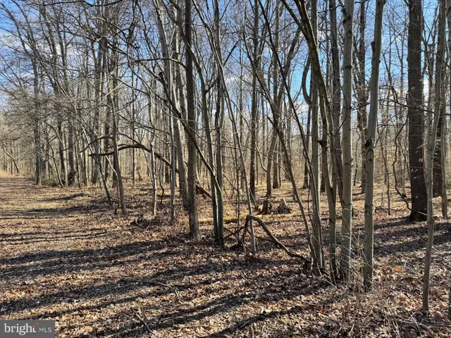 $140,000 | 10669 Chesterville Forest Road, Millington, MD 21651