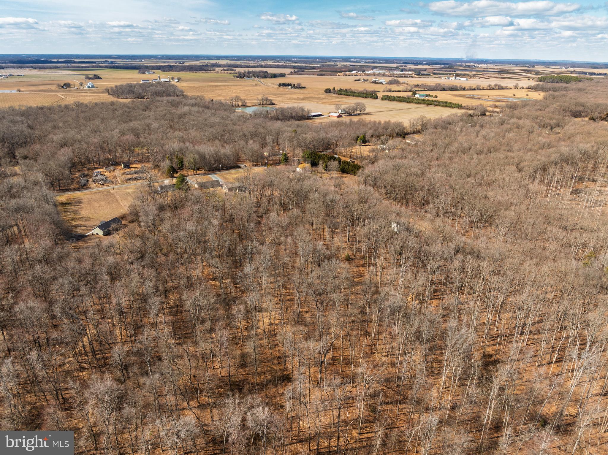 10669 Chesterville Forest Road Millington, MD 21651 - Photo 4 of 26 a view of ocean view