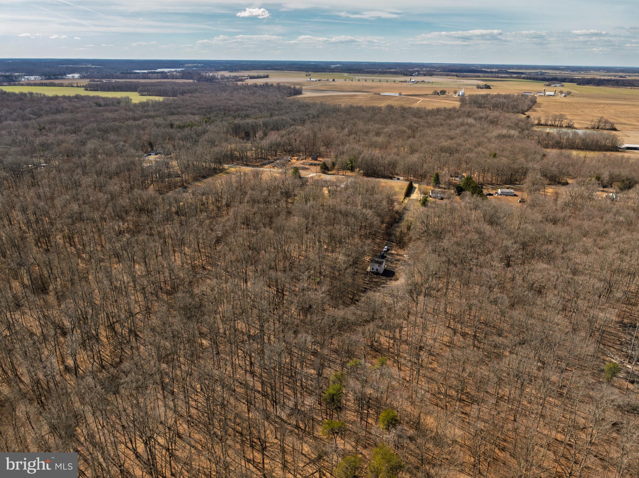 10669 Chesterville Forest Road Millington, MD 21651 - Photo 5 of 26 a view of an ocean and beach