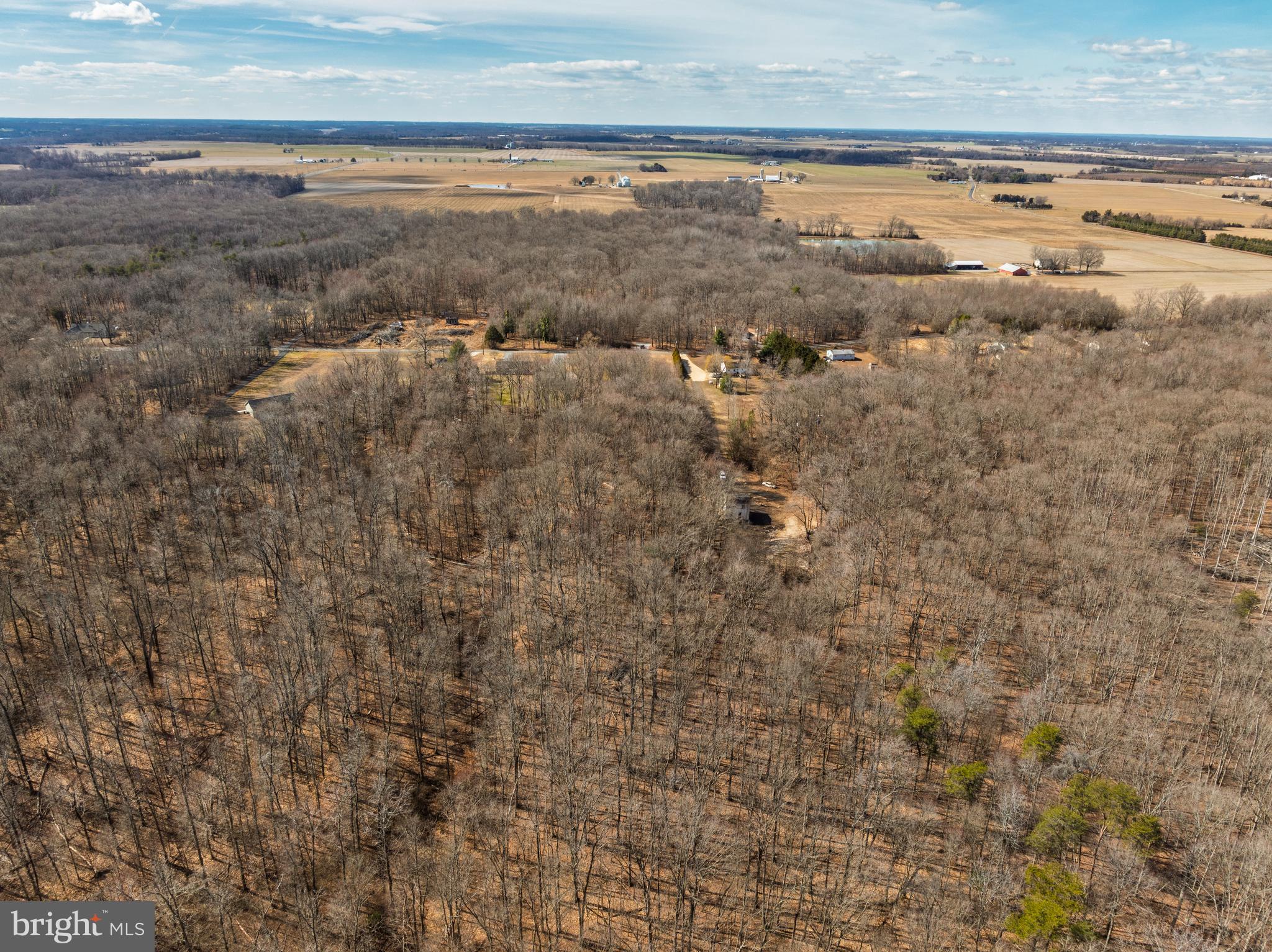 10669 Chesterville Forest Road Millington, MD 21651 - Photo 6 of 26 a view of an ocean beach