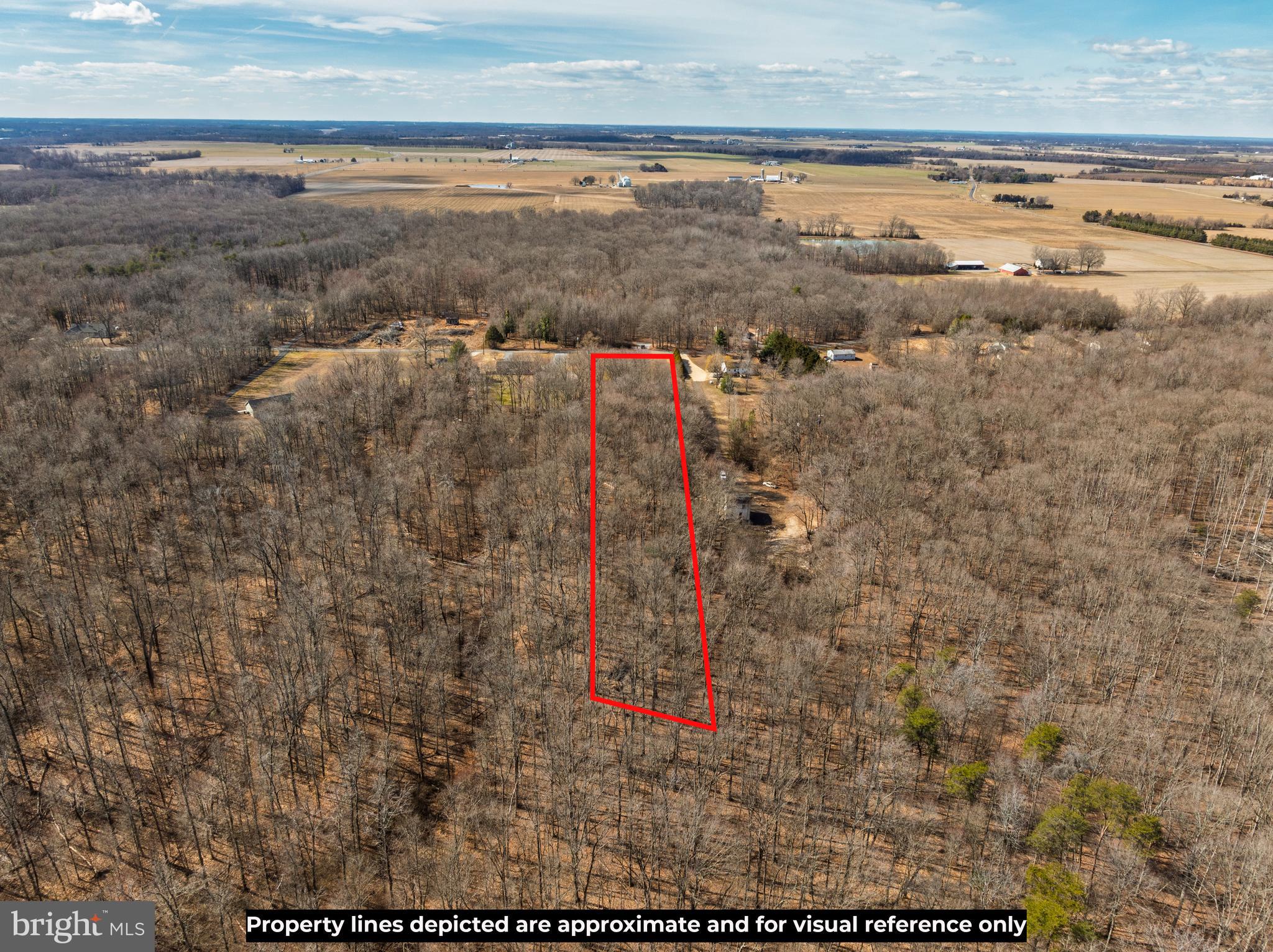 10669 Chesterville Forest Road Millington, MD 21651 - Photo 7 of 26