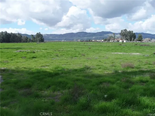 a view of a field with an trees in the background