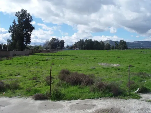 a view of a field of grass and trees