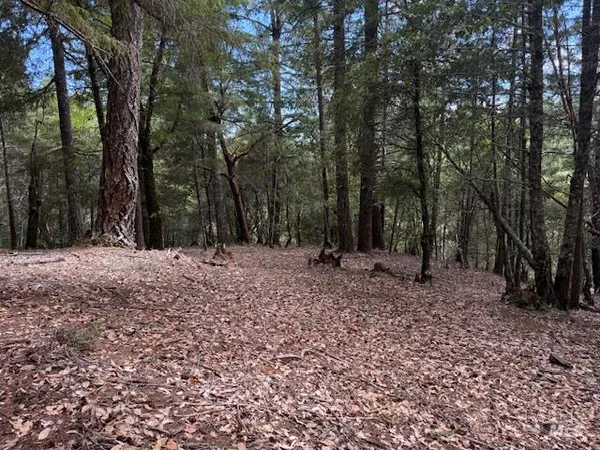 a view of outdoor space with trees