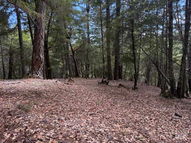 a view of outdoor space with trees