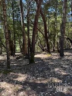 a view of outdoor space with trees