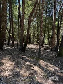 a view of outdoor space with trees