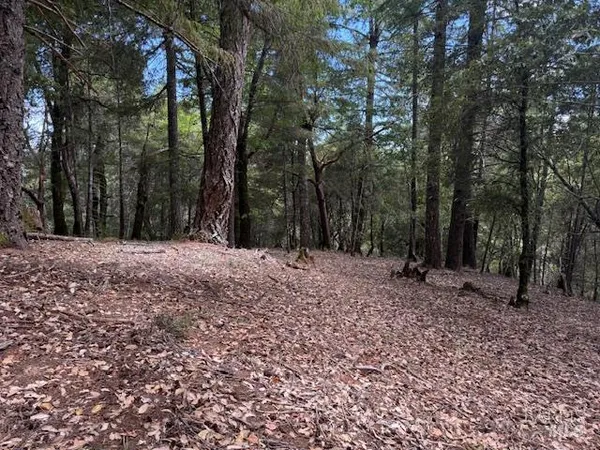 a view of outdoor space with trees