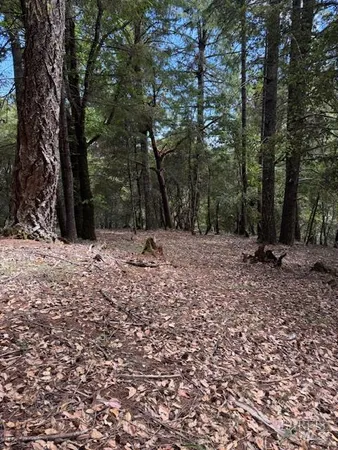 a view of outdoor space with trees