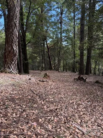 a view of outdoor space with trees