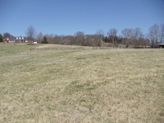 0 Waco Road Lynnville, TN 38472 - Photo 3 of 4 Great little Cattle Farm with Several Good Building Sites & City Water Available