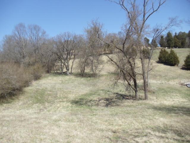 0 Waco Road Lynnville, TN 38472 - Photo 4 of 4 Gallery Image 4