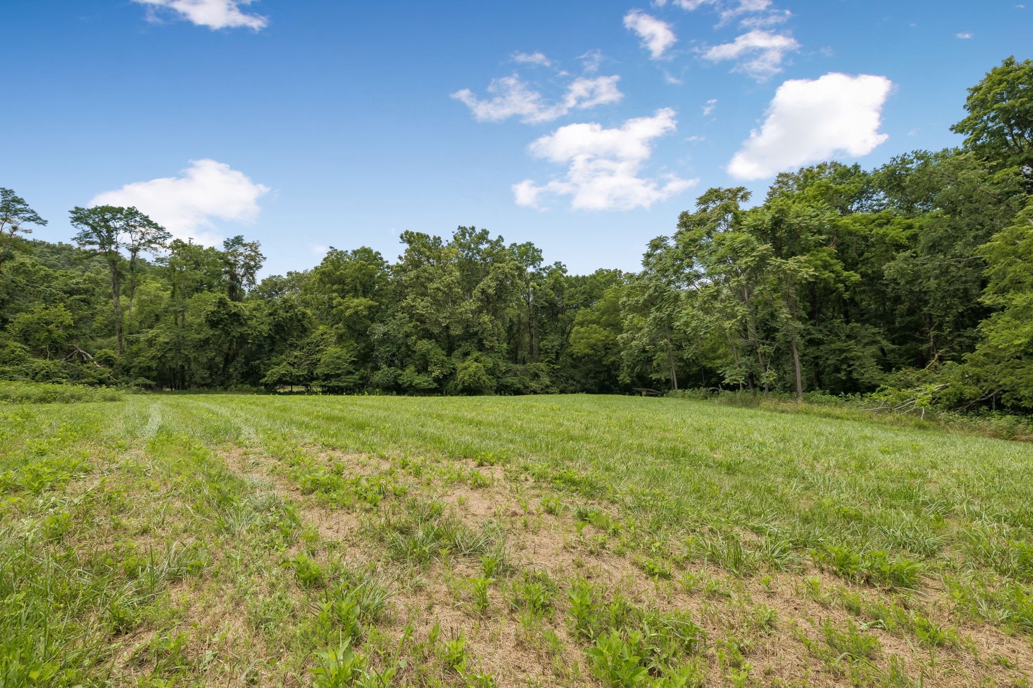 2268 North Berrys Chapel Road Franklin, TN 37069 - Photo 10 of 16 a view of outdoor space and yard