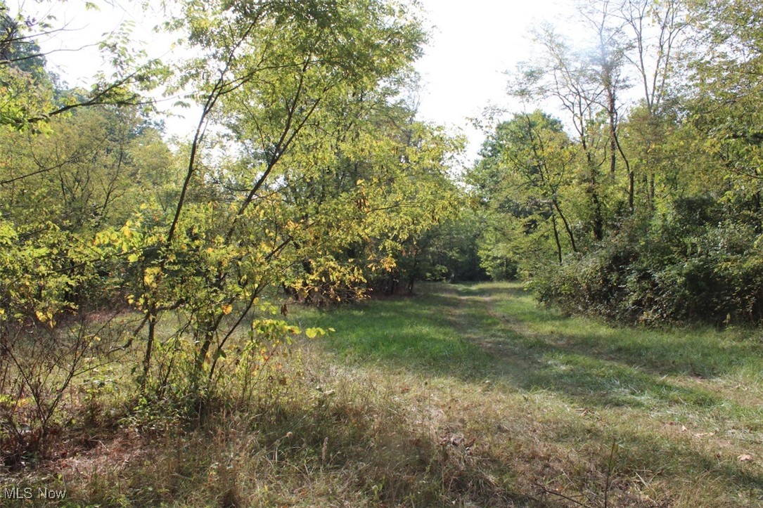 Leffler Road Roseville, OH 43777 - Photo 24 of 49 View of nature