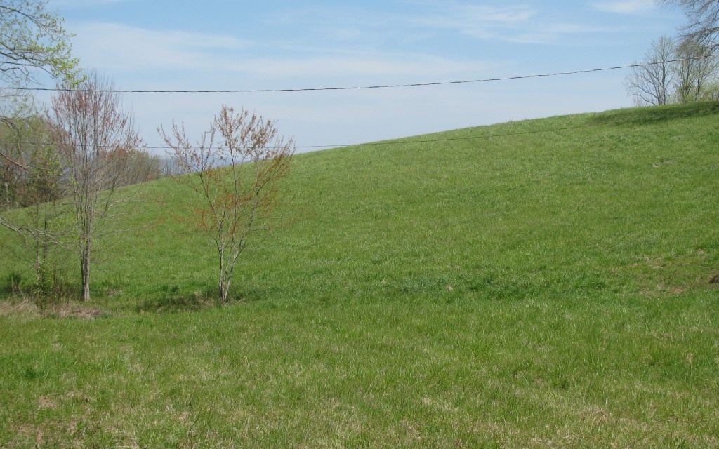 Mining Gap Road Young Harris, GA 30582 - Photo 2 of 4 Additional View