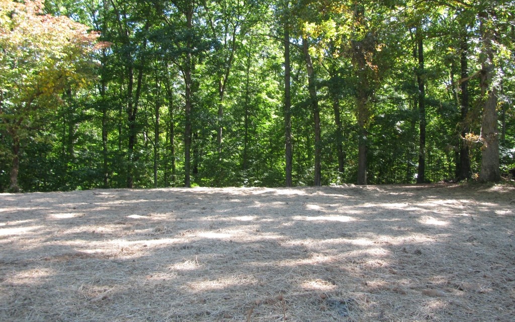 Mining Gap Road Young Harris, GA 30582 - Photo 4 of 4 Additional View
