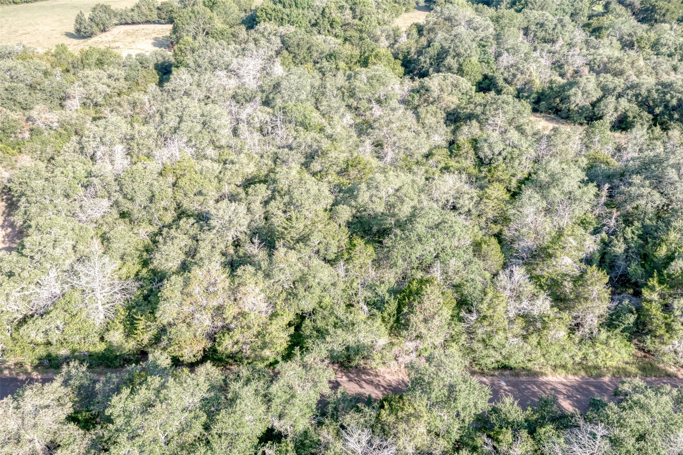 Tbd Wied Road La Grange, TX 78945 - Photo 9 of 25