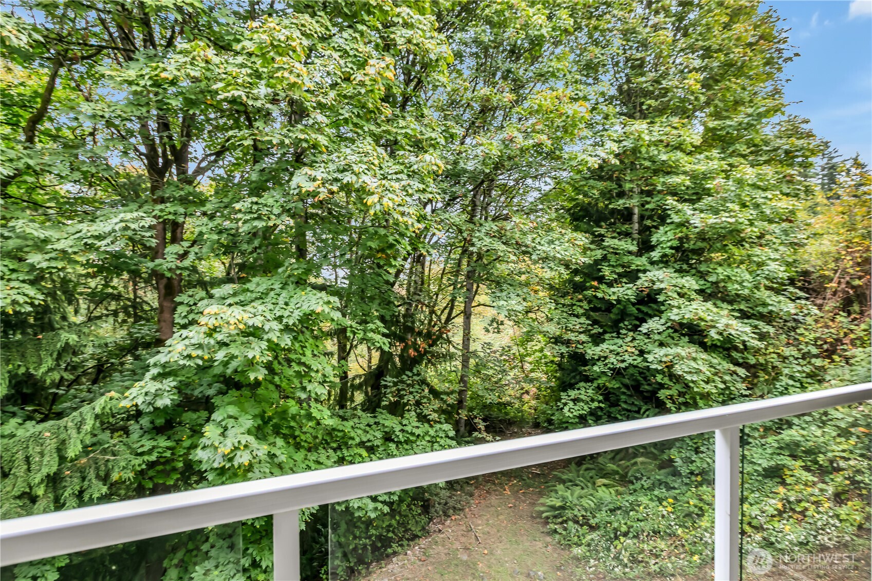 3012 Southeast 8th Place, Unit 1117 Renton, WA 98058 - Photo 21 of 28 a view of a forest from a window