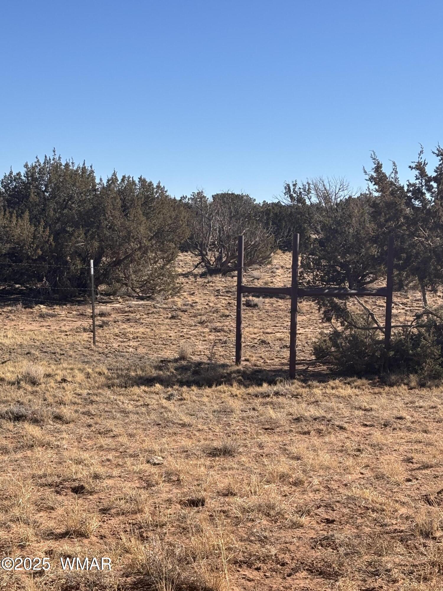 5985 Cow Bell Road Heber, AZ 85928 - Photo 21 of 26 Land