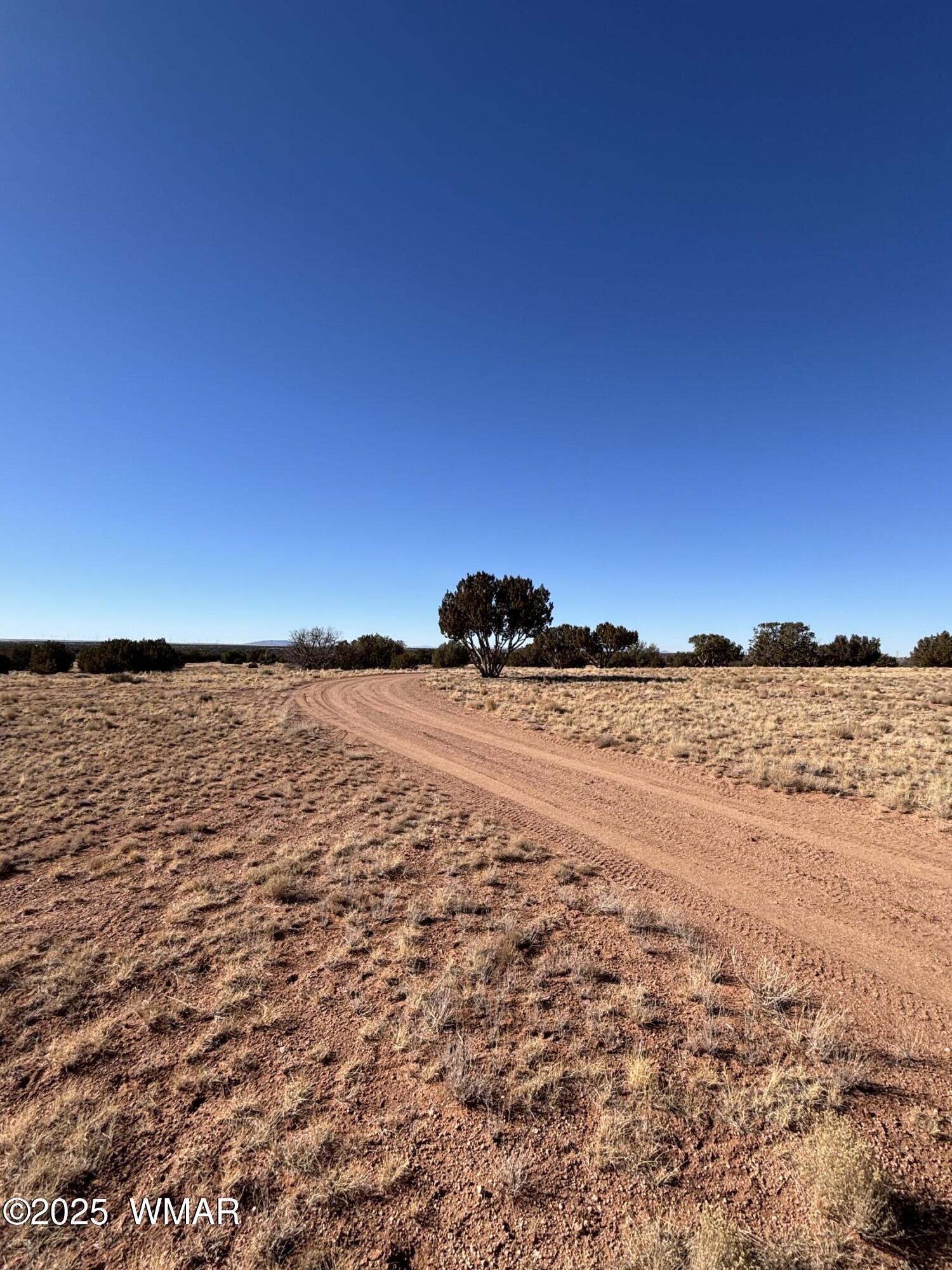 5985 Cow Bell Road Heber, AZ 85928 - Photo 22 of 26 Drive Way