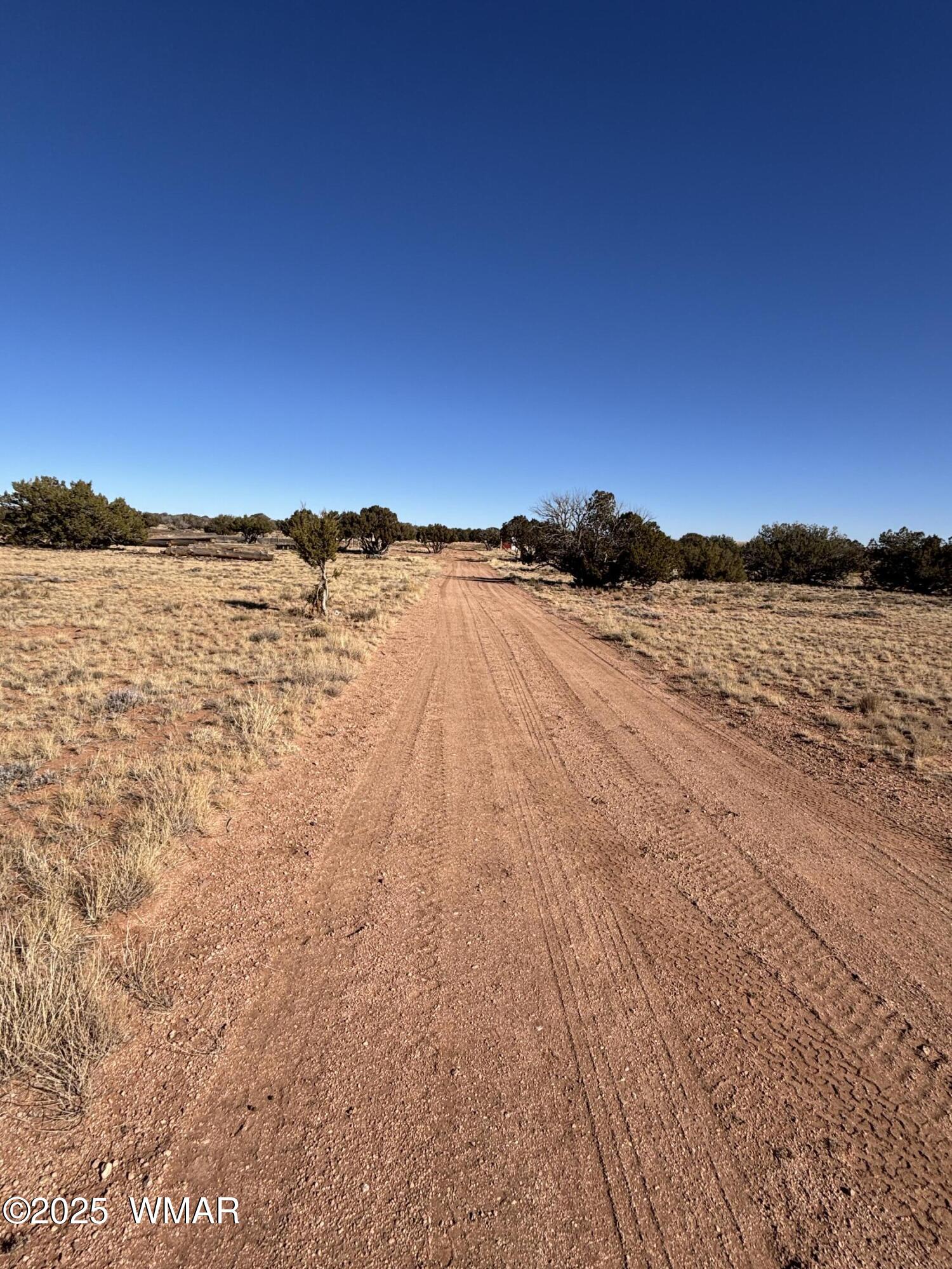 5985 Cow Bell Road Heber, AZ 85928 - Photo 23 of 26 Drive
