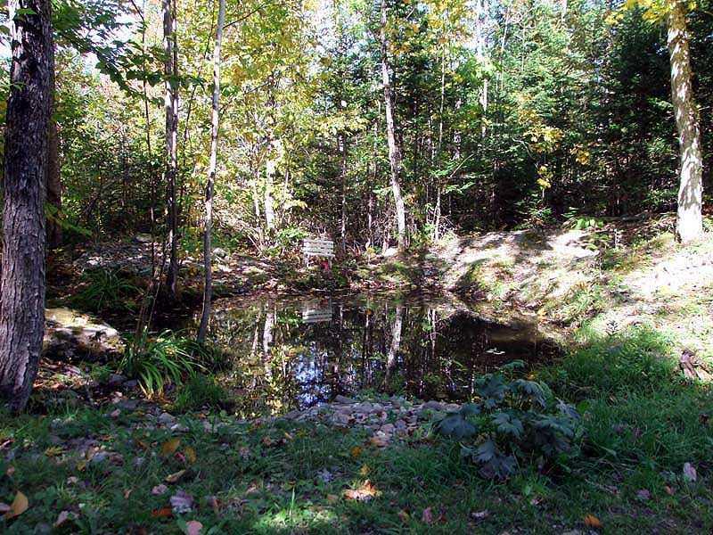 418 Hemore Road Ludlow, ME 04730 - Photo 12 of 35 Land.