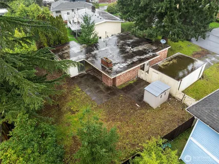 a view of a yard with plants