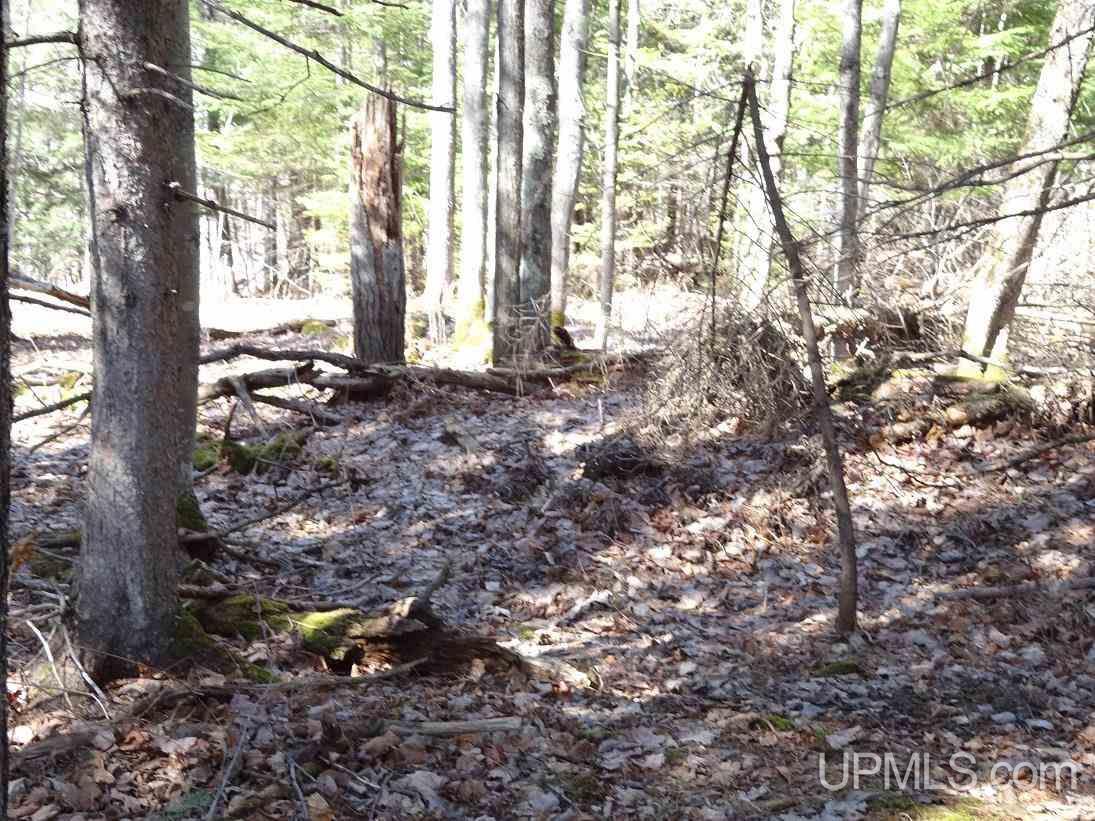 Tbd Wadaga Road Baraga, MI 49908 - Photo 5 of 17 Gallery Image 5