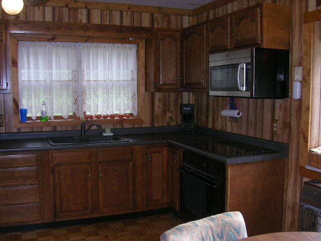 125 Central Hill Road Grantsburg, IL 62943 - Photo 12 of 21 a kitchen with a sink and cabinets