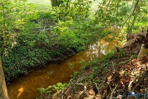 a view of a lake with a tree