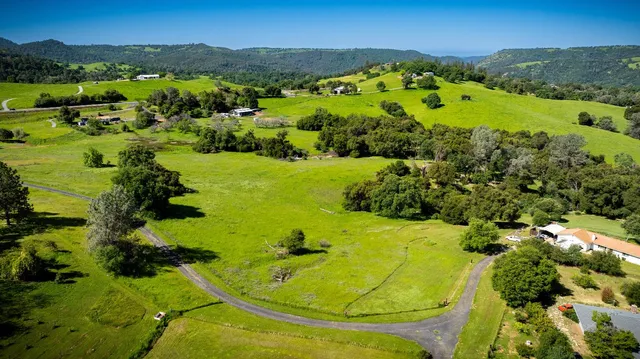 a view of yard with swimming pool