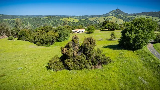 a view of a big yard with lots of green space