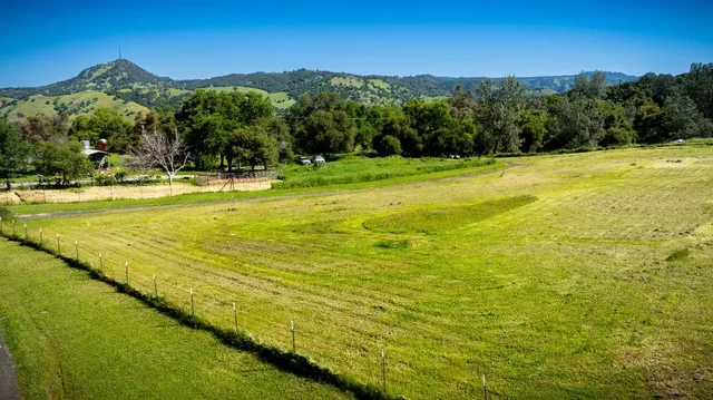 a view of a big yard with a large tree