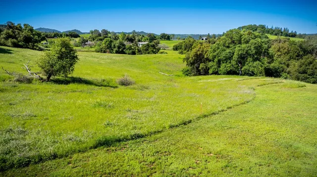 a view of a large yard with plants
