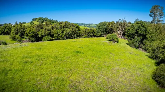 a view of a field with a tree