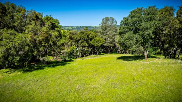 a view of a yard with large trees