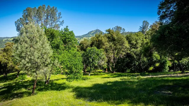 a view of yard with green space