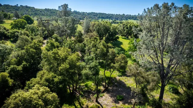 a view of an outdoor space and a yard