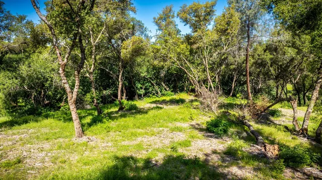 a view of a lake with green space