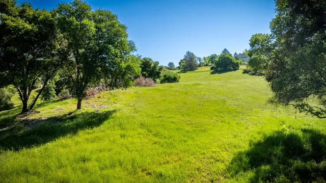 a view of a large yard with lots of green space