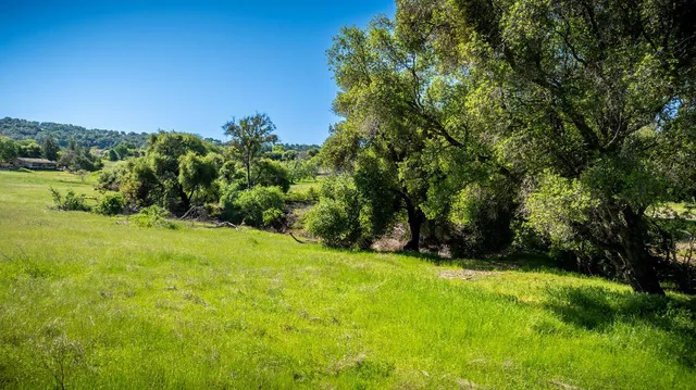 a view of a lush green forest with a lake