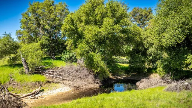 a view of yard with green space