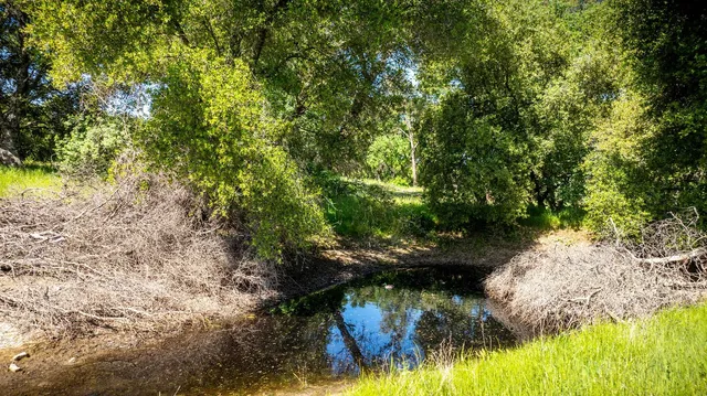 a view of a lake with houses