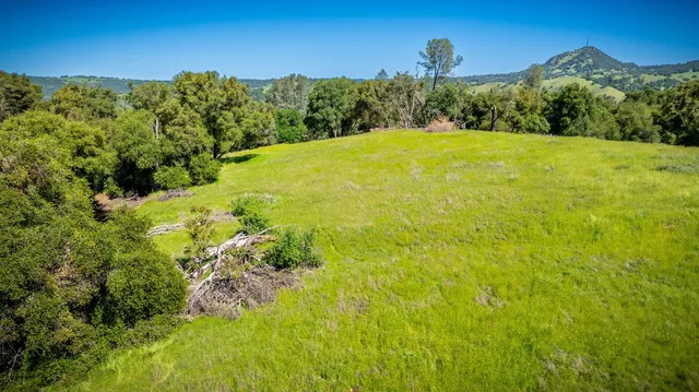 a view of an ocean from a yard