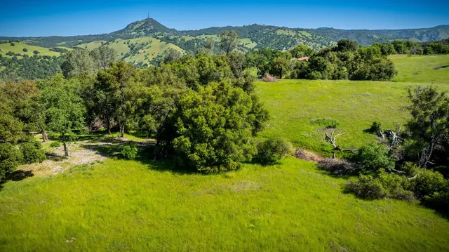 a view of a large yard with green space