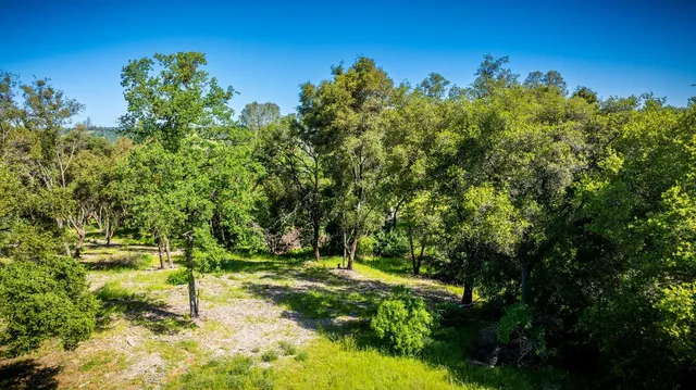 a view of yard with ocean view