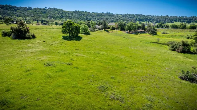 a view of a garden with a building in the background